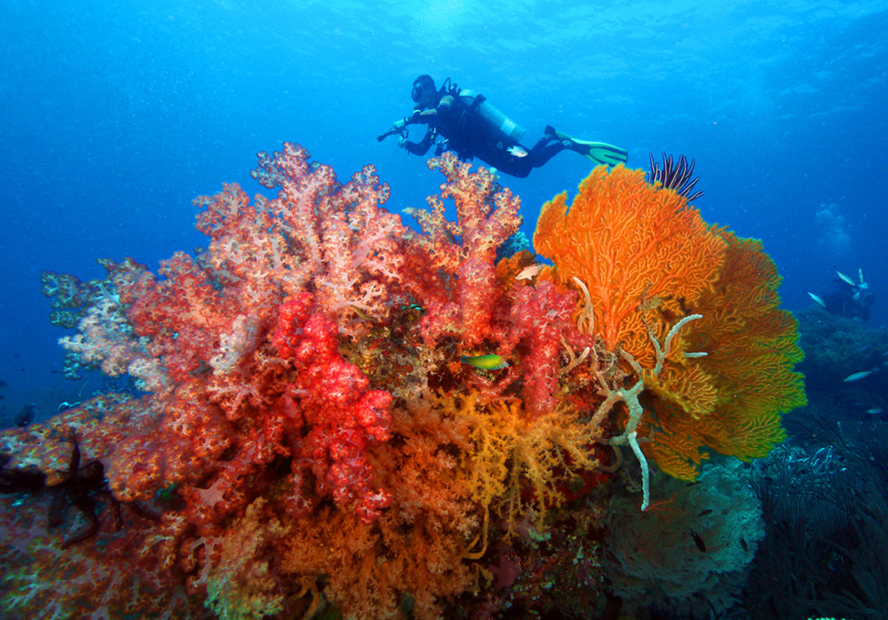 Coron Bay, Palawan (Best for Scuba Diving)