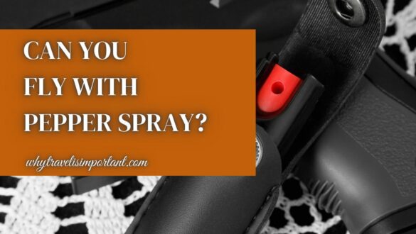 Can You Fly With Pepper Spray? [Explained] | WhyTravelisImportant